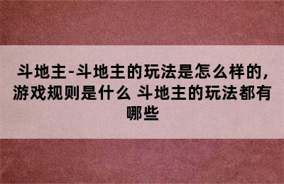 斗地主-斗地主的玩法是怎么样的,游戏规则是什么 斗地主的玩法都有哪些